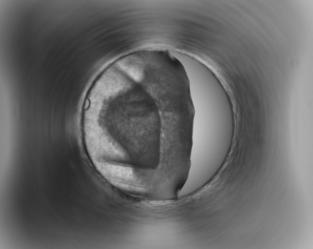 X0000095960864200802011120