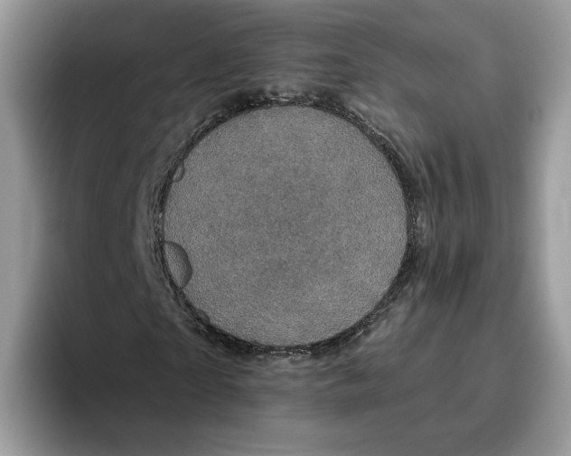 X0000095960865200802011120