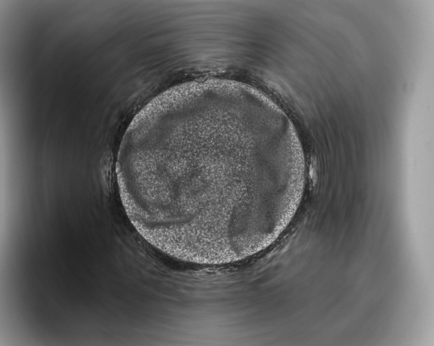 X0000095960867200802011120