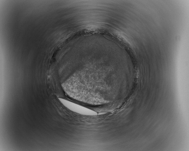 X0000095960868200802011120