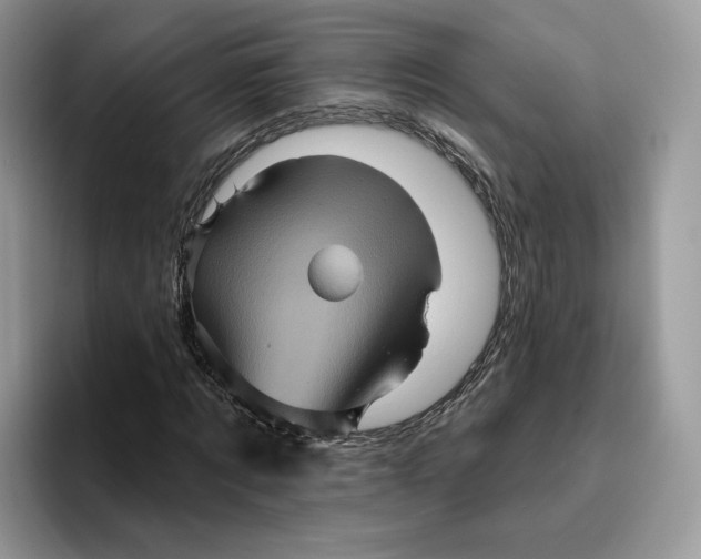 X0000095960869200802011120