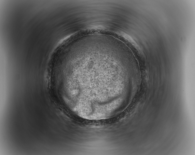 X0000095960872200802011120