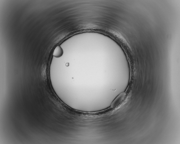 X0000095960873200802011120