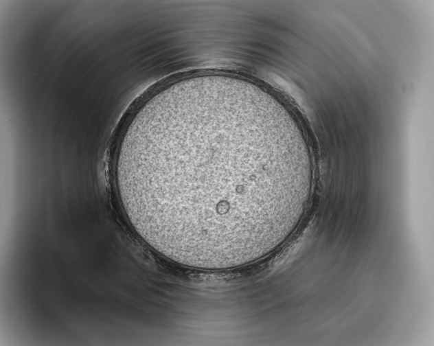 X0000095960875200802011120