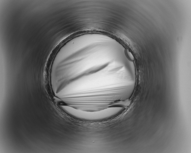 X0000095960876200802011120