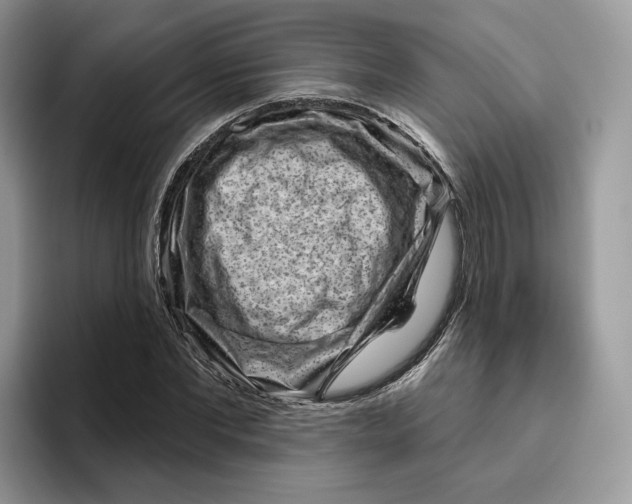 X0000095960877200802011120