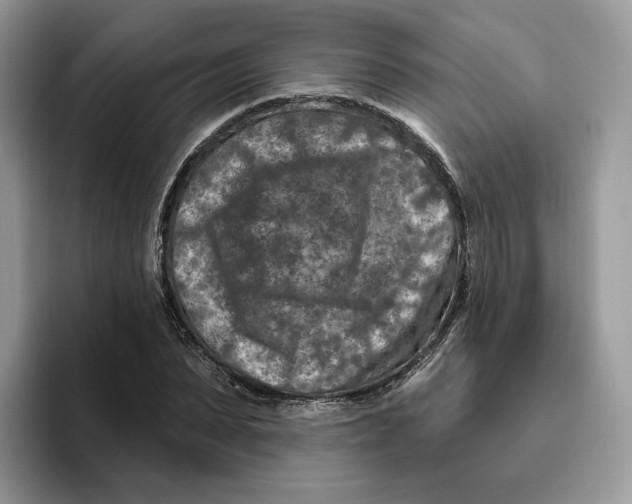 X0000095960879200802011120