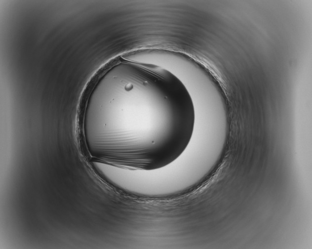 X0000095960880200802011120