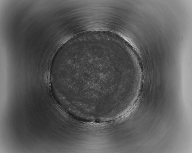 X0000095960881200802011120