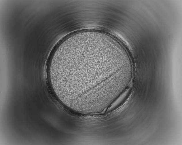 X0000095960883200802011120