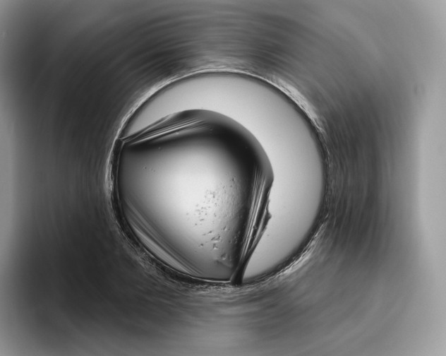 X0000095960885200802011120