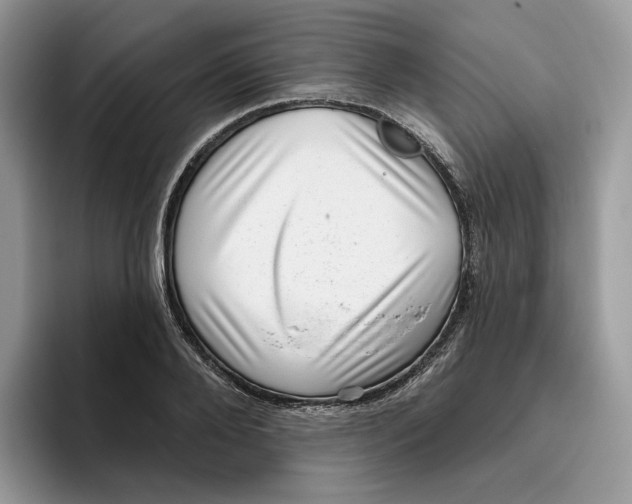 X0000095960888200802011120