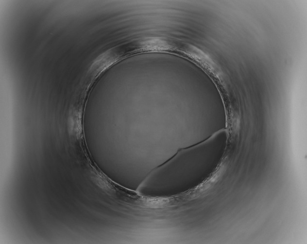 X0000095960889200802011120