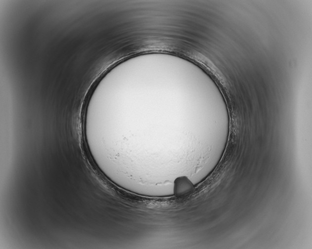 X0000095960890200802011119