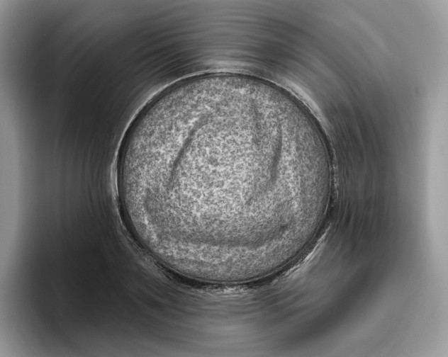 X0000095960891200802011119