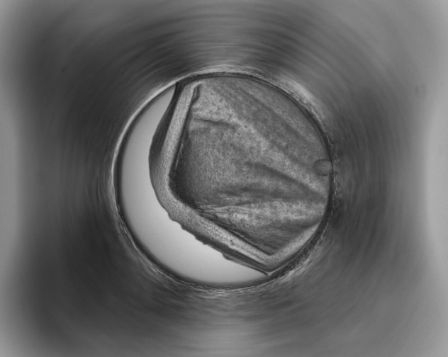 X0000095960892200802011119