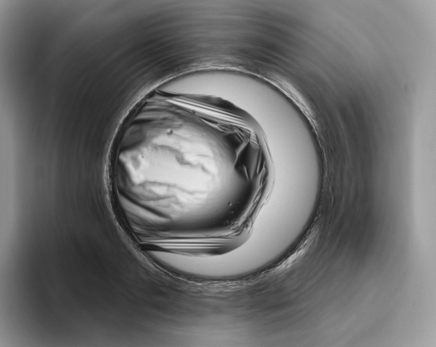 X0000095960893200802011119