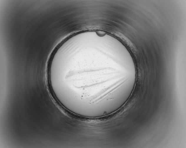 X0000095960894200802011119