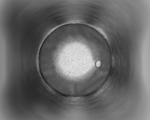 X0000095960895200802011119