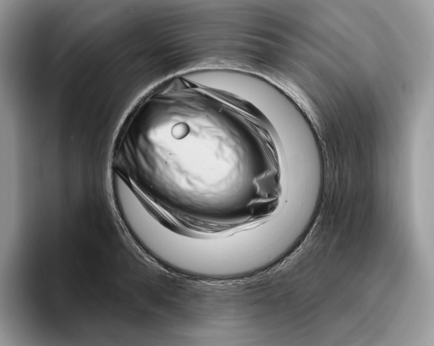 X0000095960896200802011119