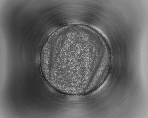 X0000095960897200802011119