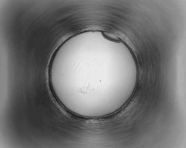 X0000095960898200802011119