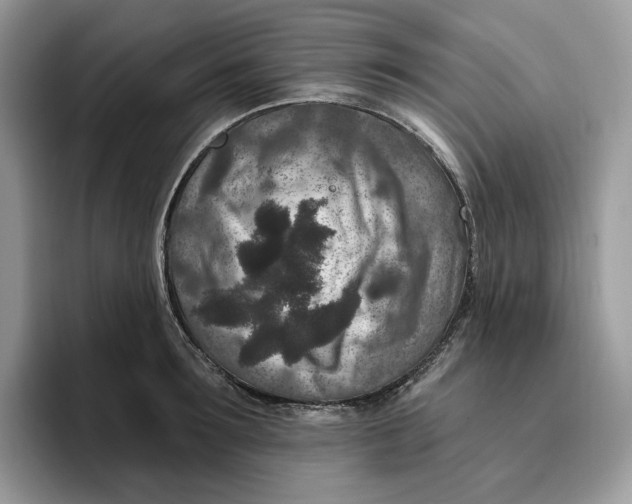 X0000095960899200802011119