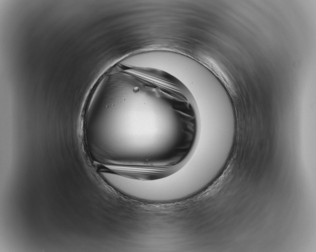 X0000095960900200802011119