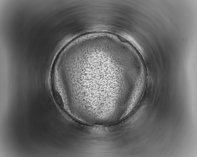 X0000095960901200802011119