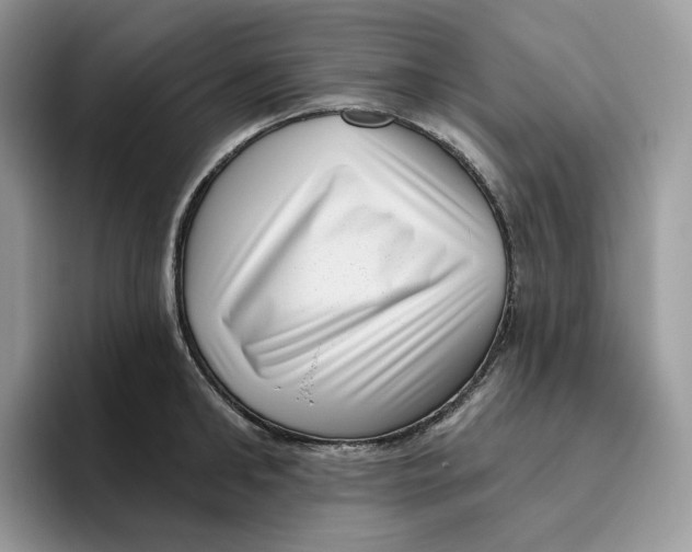 X0000095960902200802011119