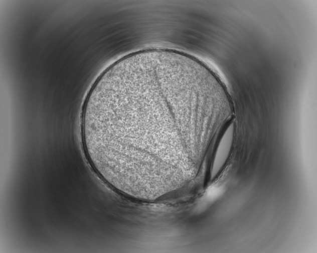 X0000095960903200802011119