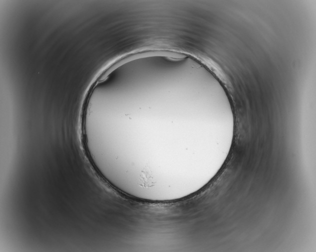 X0000095960904200802011119