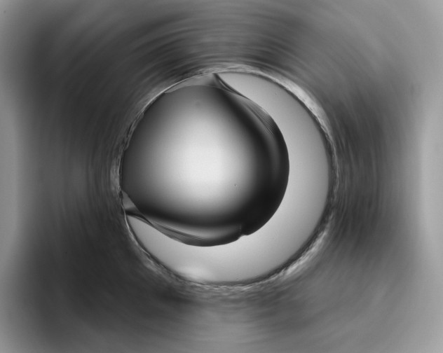 X0000095960905200802011119