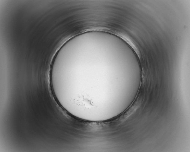 X0000095960906200802011119