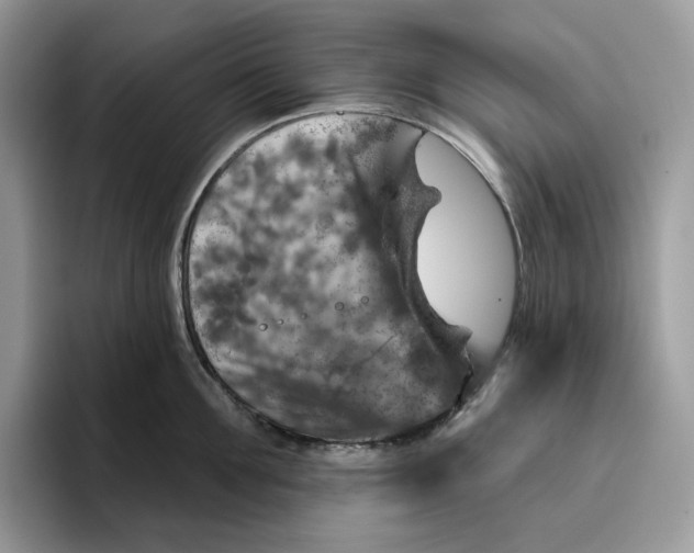 X0000095960907200802011119