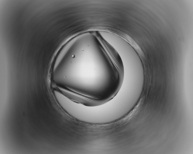 X0000095960908200802011119