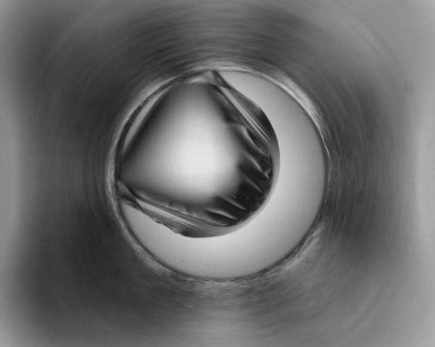 X0000095960909200802011119