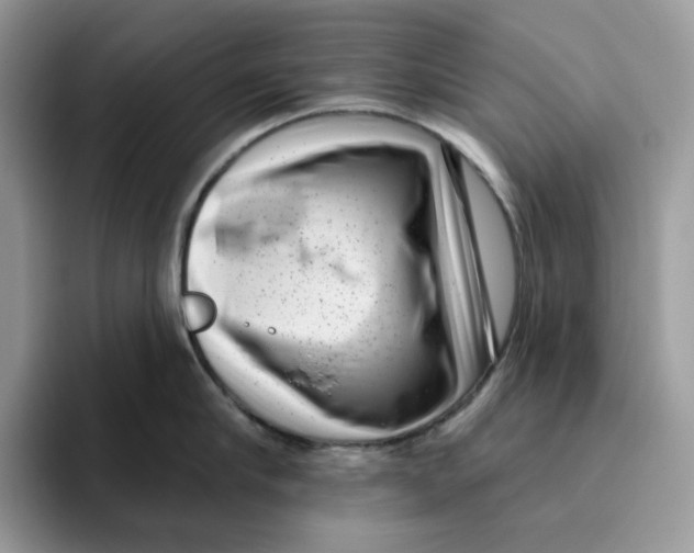 X0000095960910200802011119