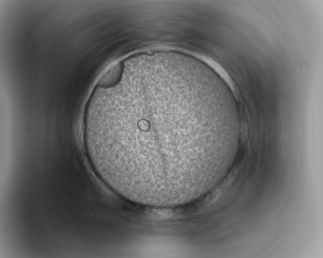 X0000095960911200802011119