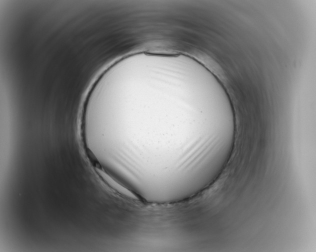 X0000095960912200802011119