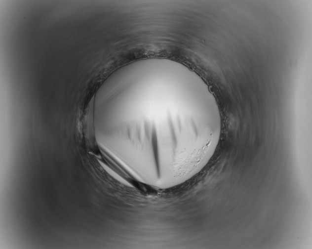 X0000095960914200802011119