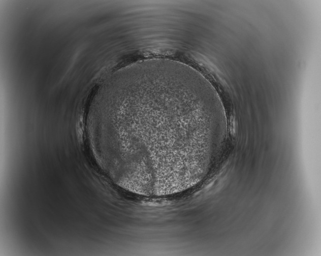 X0000095960915200802011119