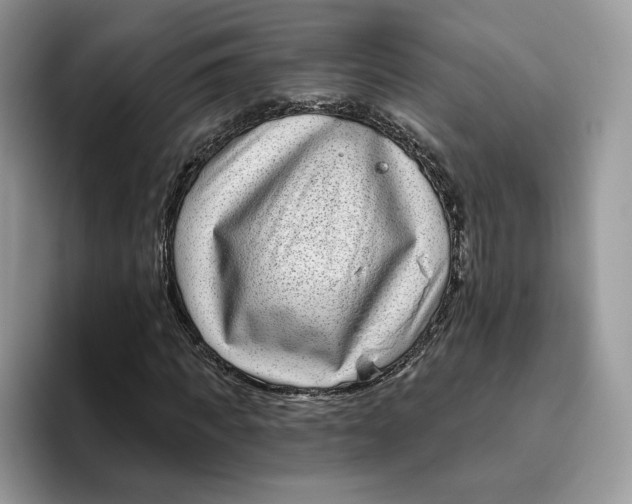 X0000095960917200802011119