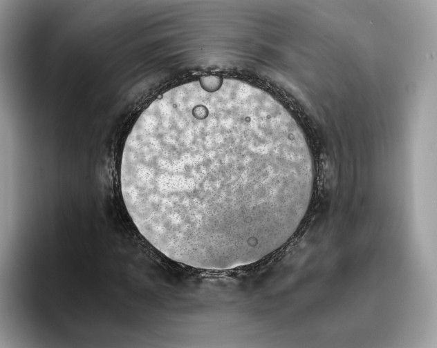 X0000095960918200802011119