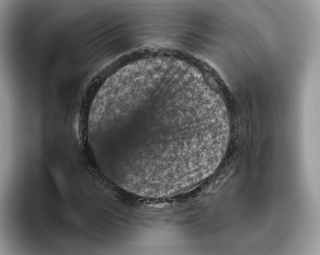 X0000095960919200802011119