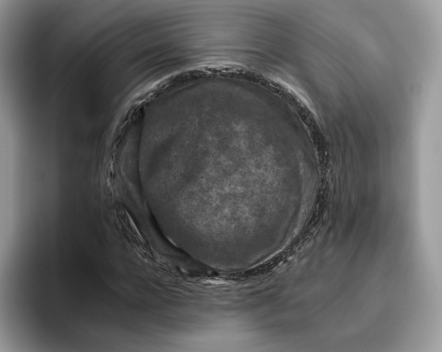 X0000095960920200802011119