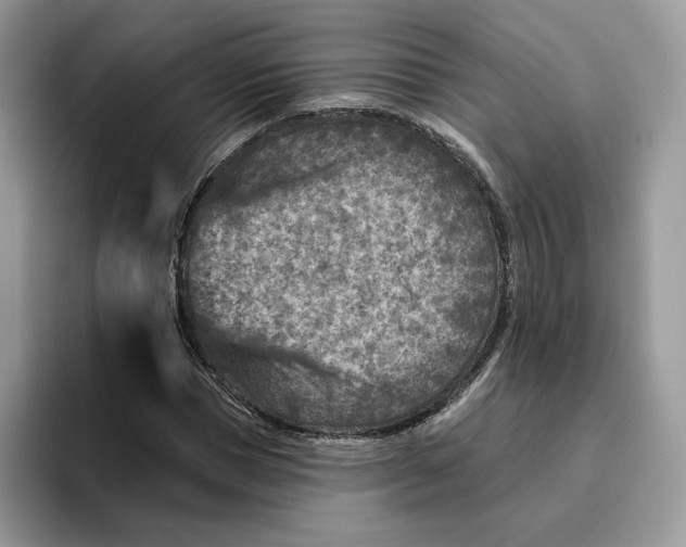 X0000095960921200802011119