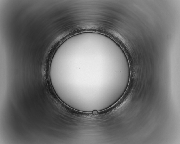 X0000095960922200802011119