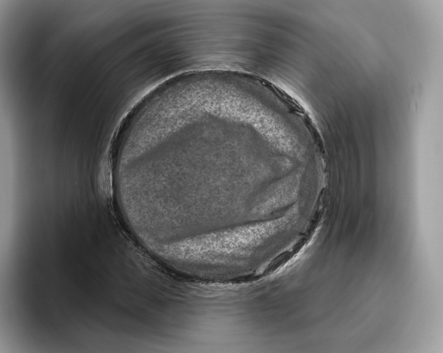 X0000095960925200802011119