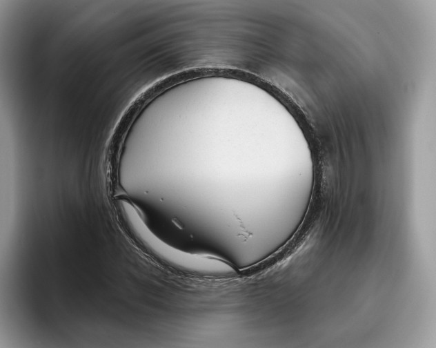 X0000095960926200802011119